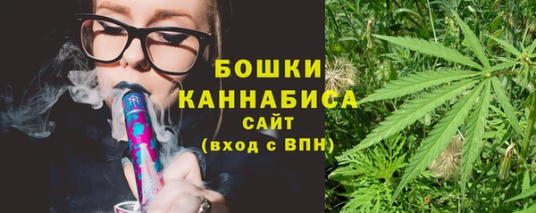 спайс Инсар