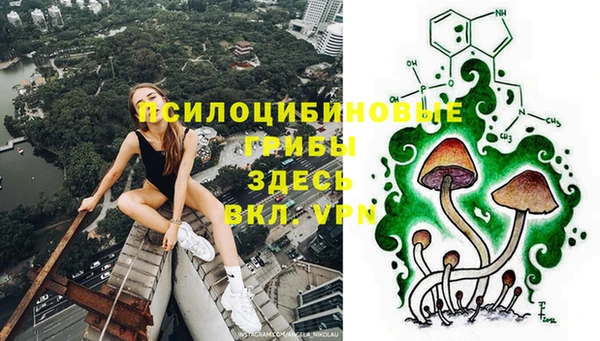 спайс Инсар